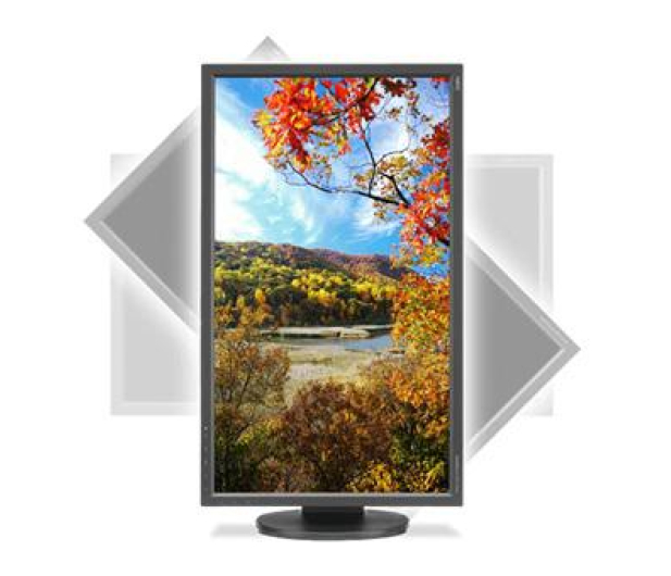 Nec MultiSync EA273WMi czarny - 207674 - zdjęcie 5